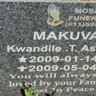 MAKUVA Kwandile T. Ashton 2009-2009
