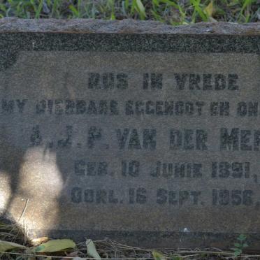 MERWE A.J.P., van der 1891-1956