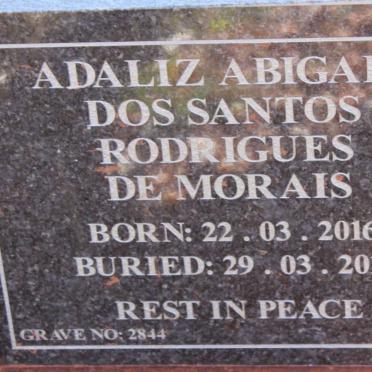 MORAIS Adaliz Abigail Dos Santos Rodrigues, de 2016-2016