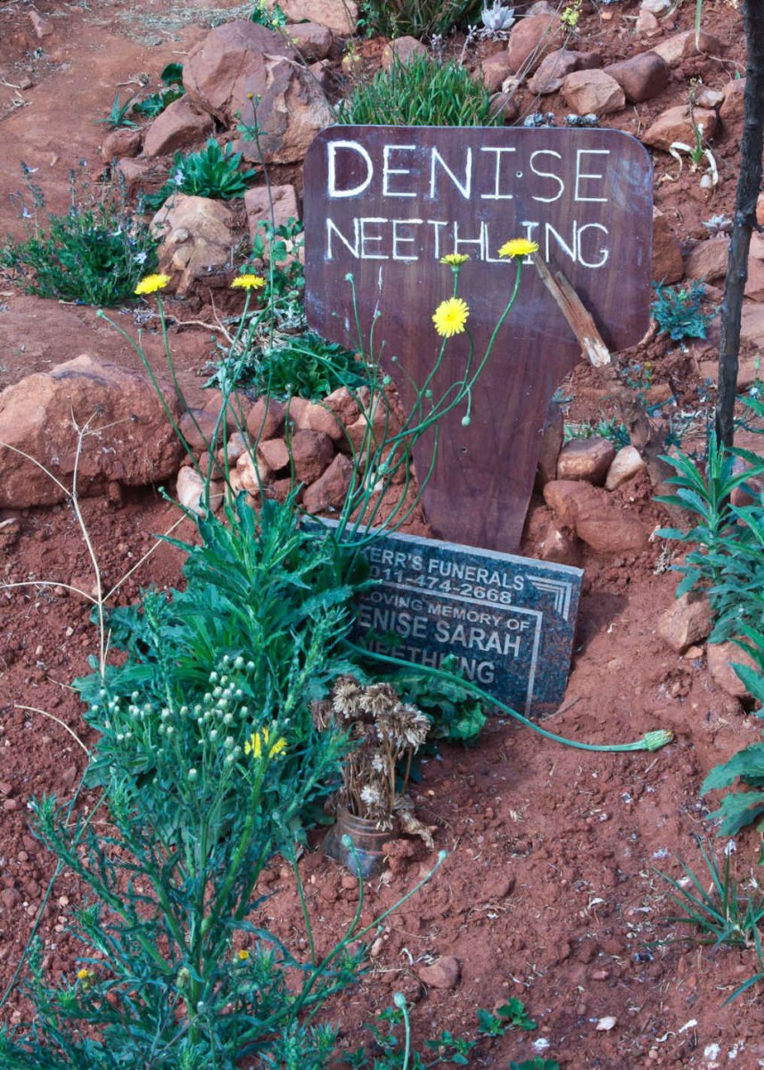 NEETHLING Denise Sarah 1960-2021