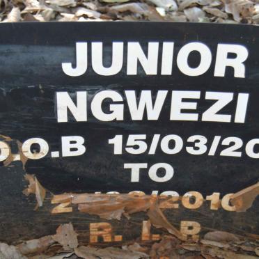 NGWEZI Junior 2010-2010