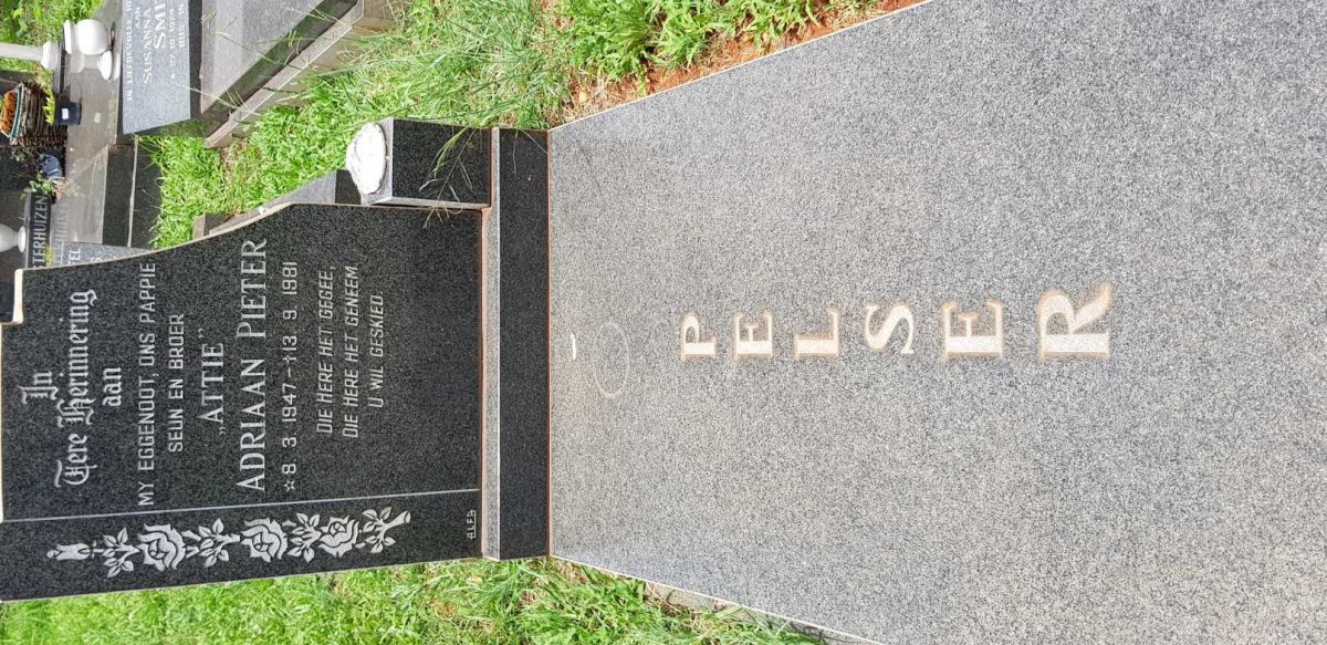 PELSER Adriaan Pieter 1947-1981