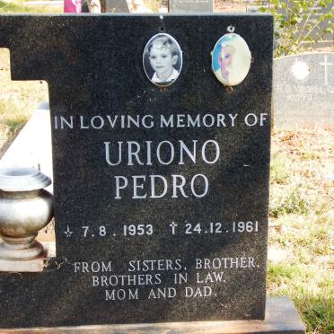 PEDRO Uriono 1953-1961
