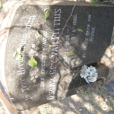 PITTIUS Oscar Gey, van 1956-1960