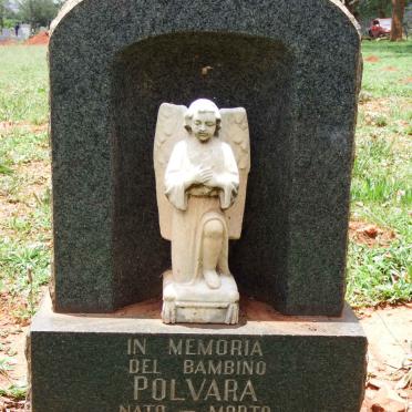 POLVARA -1971