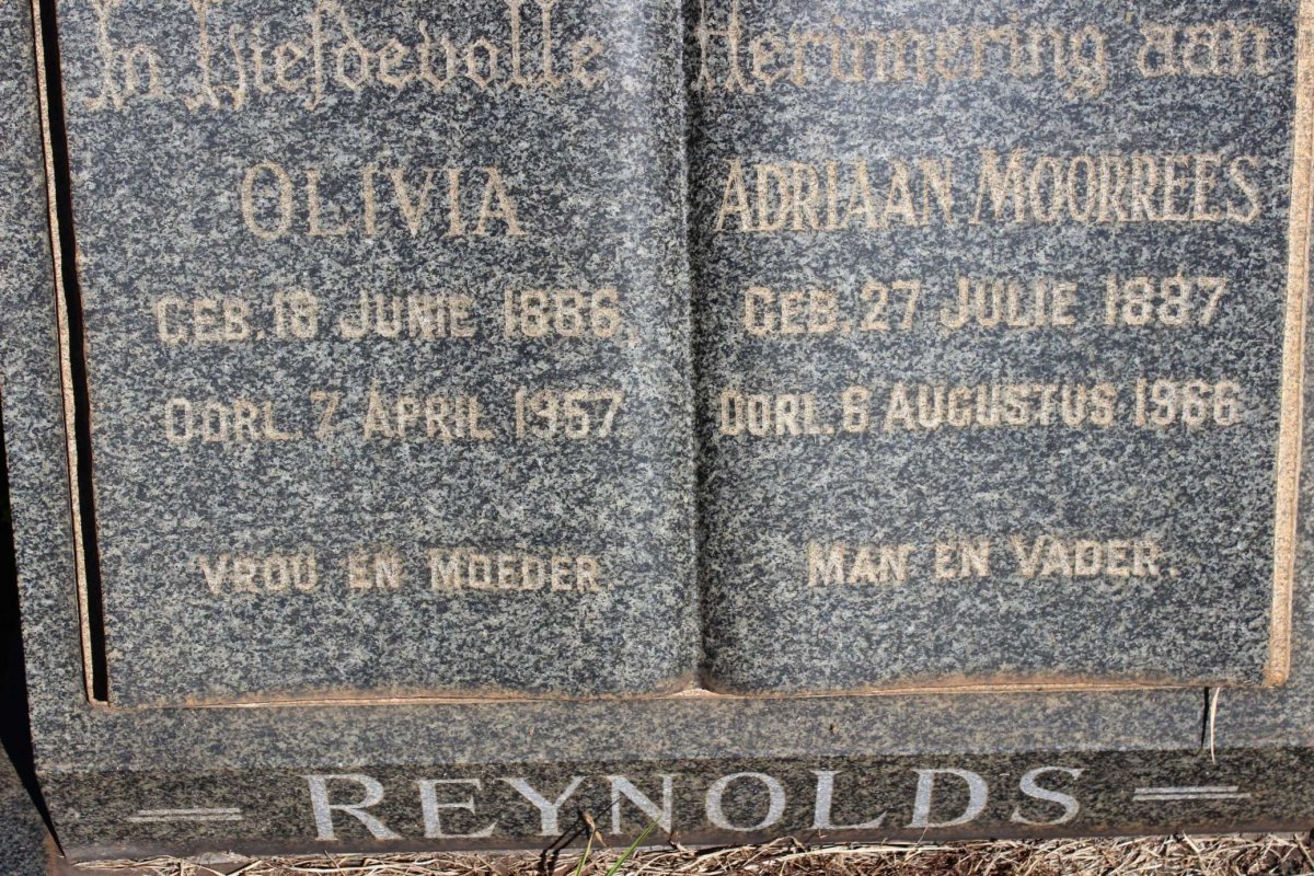 REYNOLDS Adriaan Moorrees 1887-1966 &amp; Olivia 1886-1957