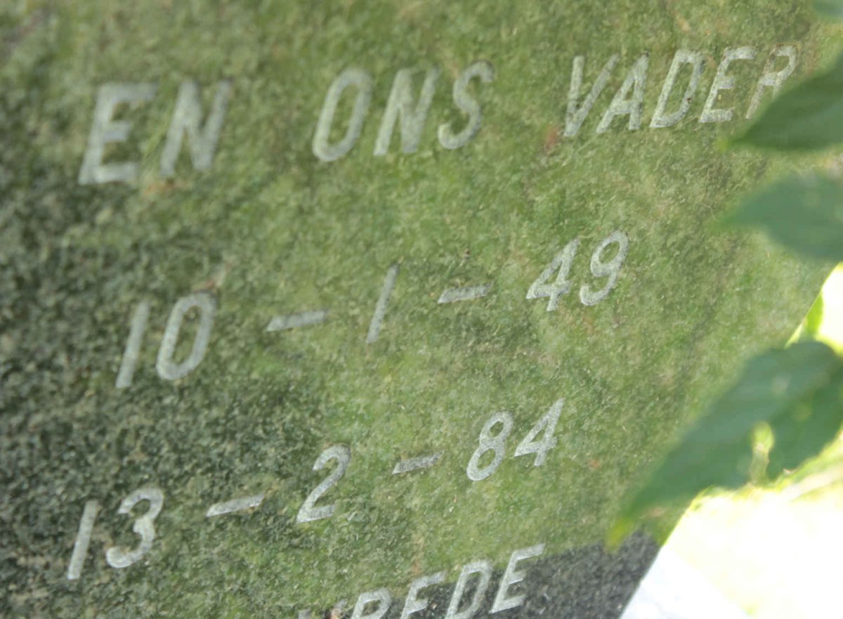 REDELINGHUYS Pieter 1949-1984