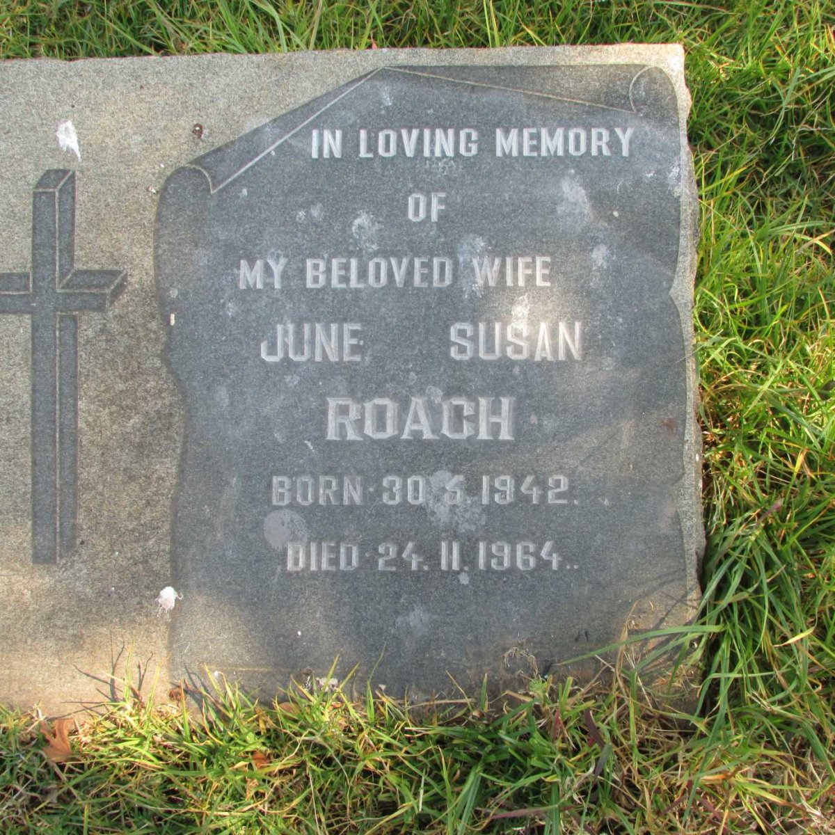 ROACH June Susan 1942-1964