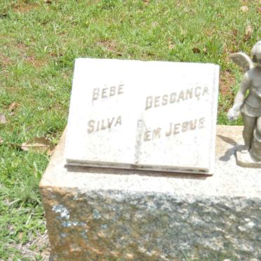 SILVA