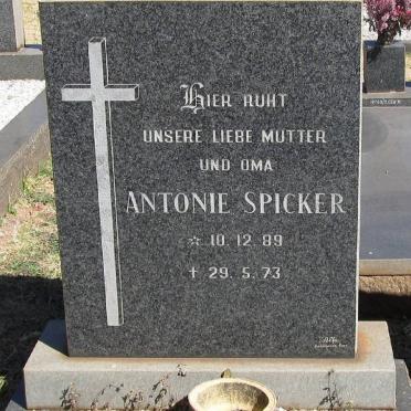 SPICKER Antonie 1889-1973