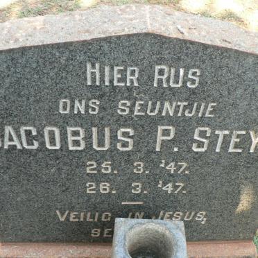 STEYN Jacobus P. 1947-1947