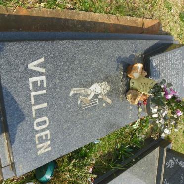 VELLOEN Francoius 1975-1997