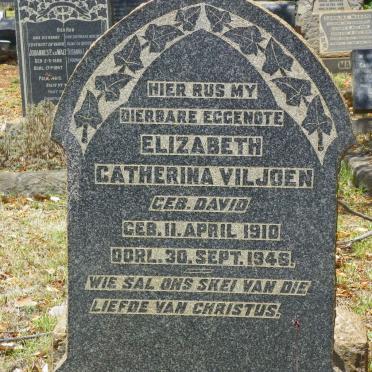 VILJOEN Elizabeth Catherina nee DAVID 1910-1946