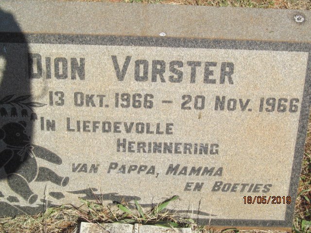VORSTER Dion 1966-1966