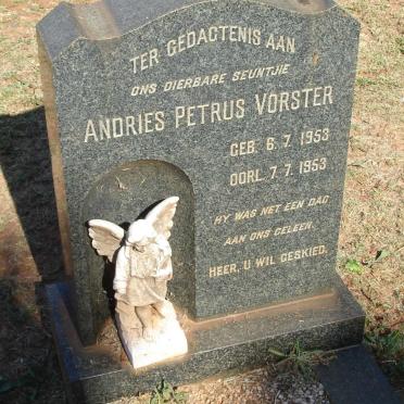 VORSTER Andries Petrus 1953-1953