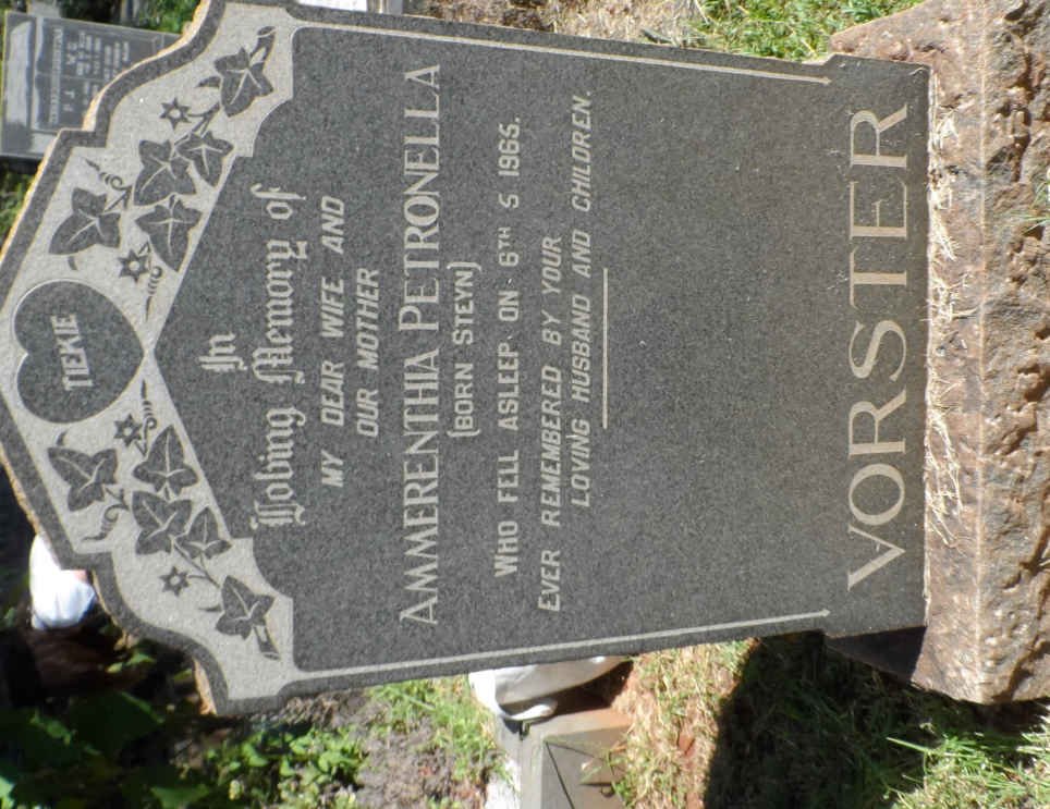 VORSTER Ammerenthia Petronella nee STEYN -1965