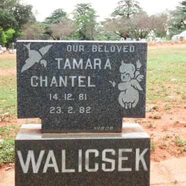WALICSEK Tamara Chantel 1981-1982