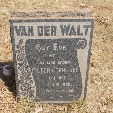 WALT Pieter Cornelius, van der 1900-1966