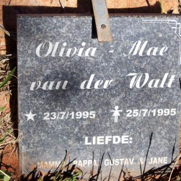 WALT Olivia-Mae, van der 1995-1995