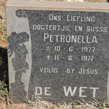 WET Petronella, de 1977-1977