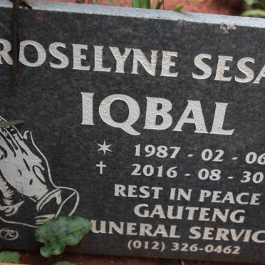 IQBAL Roselyne Sesana 1987-2016