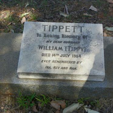 TIPPETT William -1954