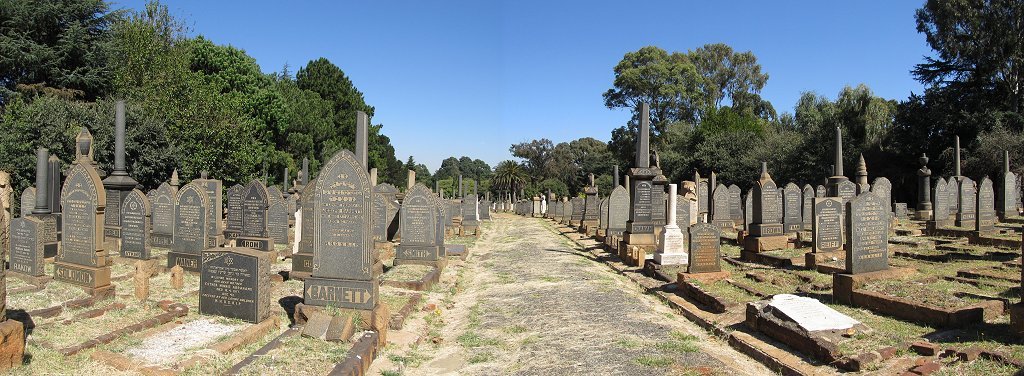 2. Overview
