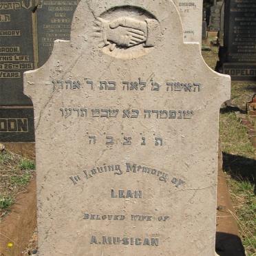 MUSICAN Leah -1916