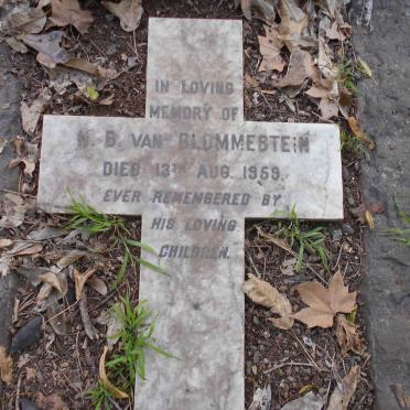 BLOMMESTEIN, van