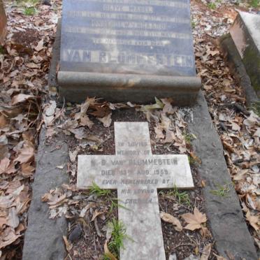 BLOMMESTEIN Onderdewyngaard, van 1858-1946