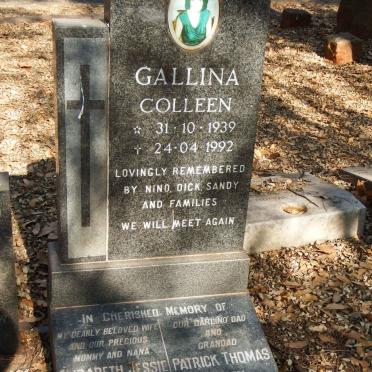 GALLINA Colleen 1939-1992 :: VAHEY Patrick Thomas 1908-1979 & Elizabeth Jessie 1912-1976 