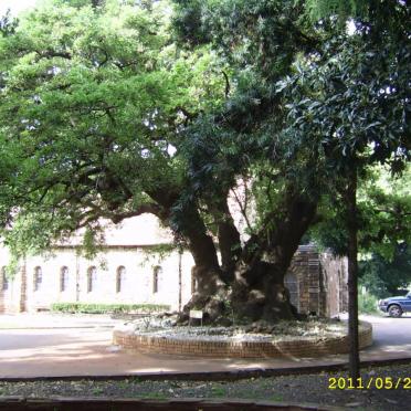 5. Overview