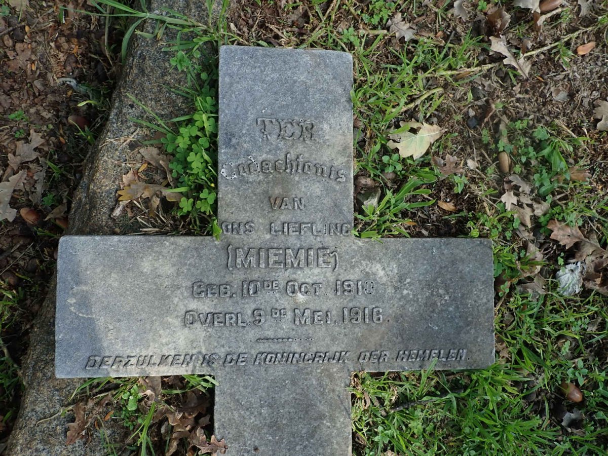 ? Miemie 1910-1916
