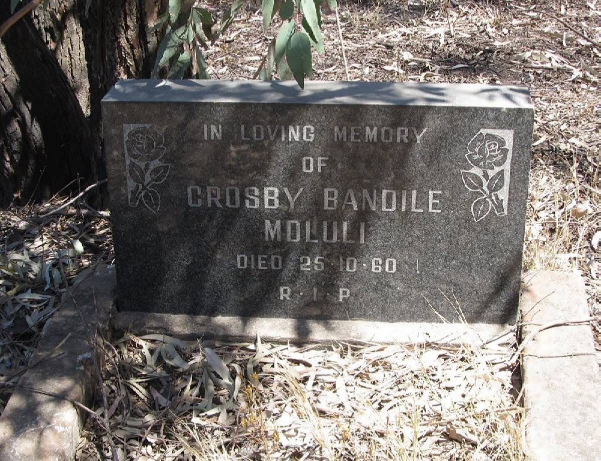 MDLULI Crosby Bandile -1960