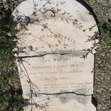 GELDENHUYS Elsie Sophia nee PRINS -1896
