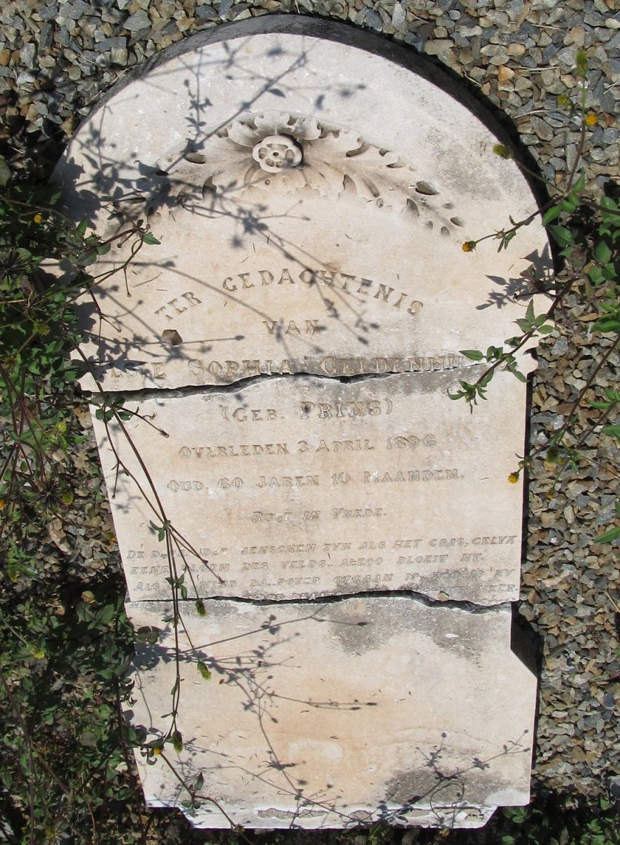 GELDENHUYS Elsie Sophia nee PRINS -1896