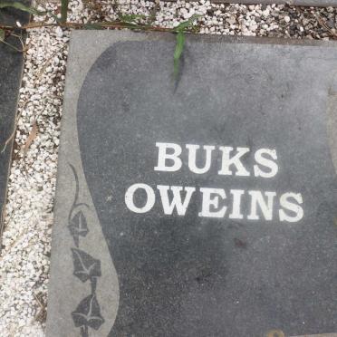 OWEINS Buks
