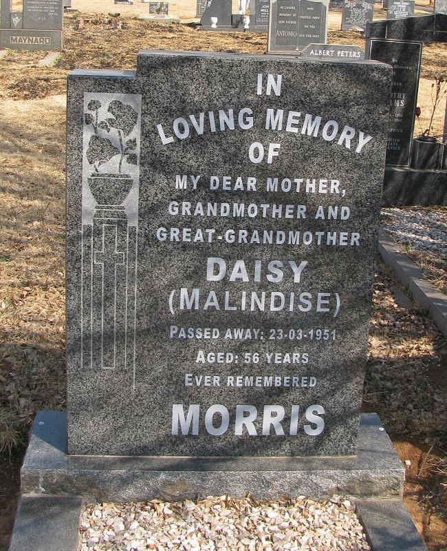 MORRIS Daisy -1951
