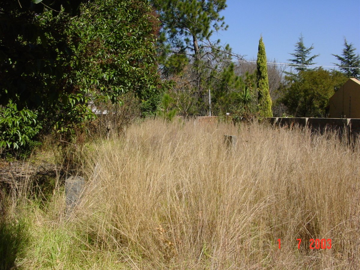 3. Overview