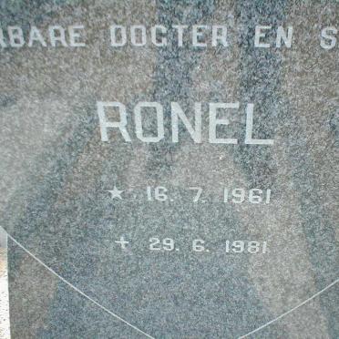 STEENKAMP Ronel 1961-1981