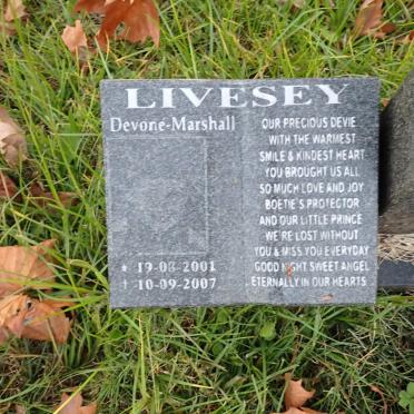 LIVESEY Devone Marshall 2001-2007
