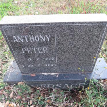 VERSACE Anthony Peter 1939-2005