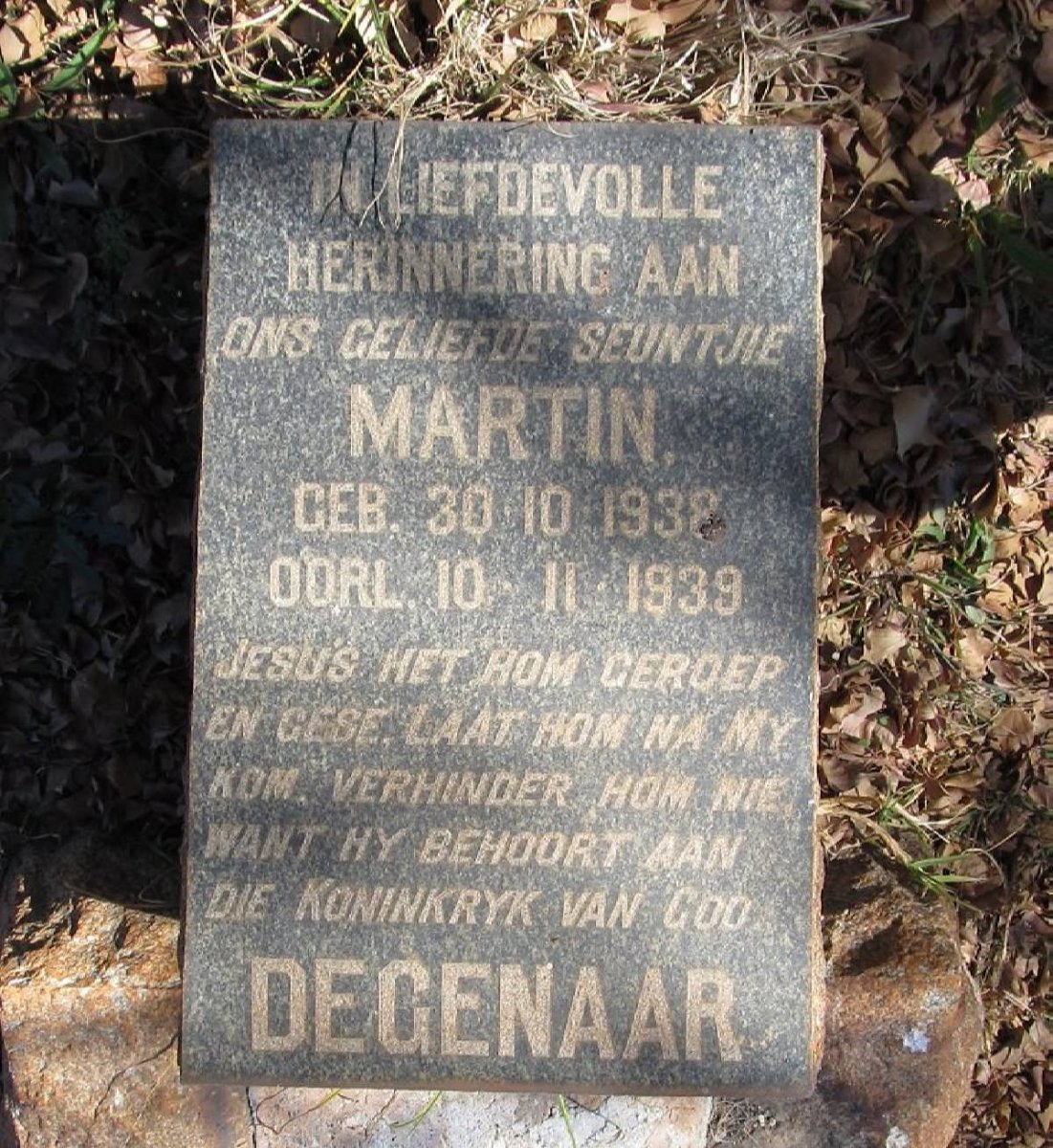DEGENAAR Martin 1938-1939