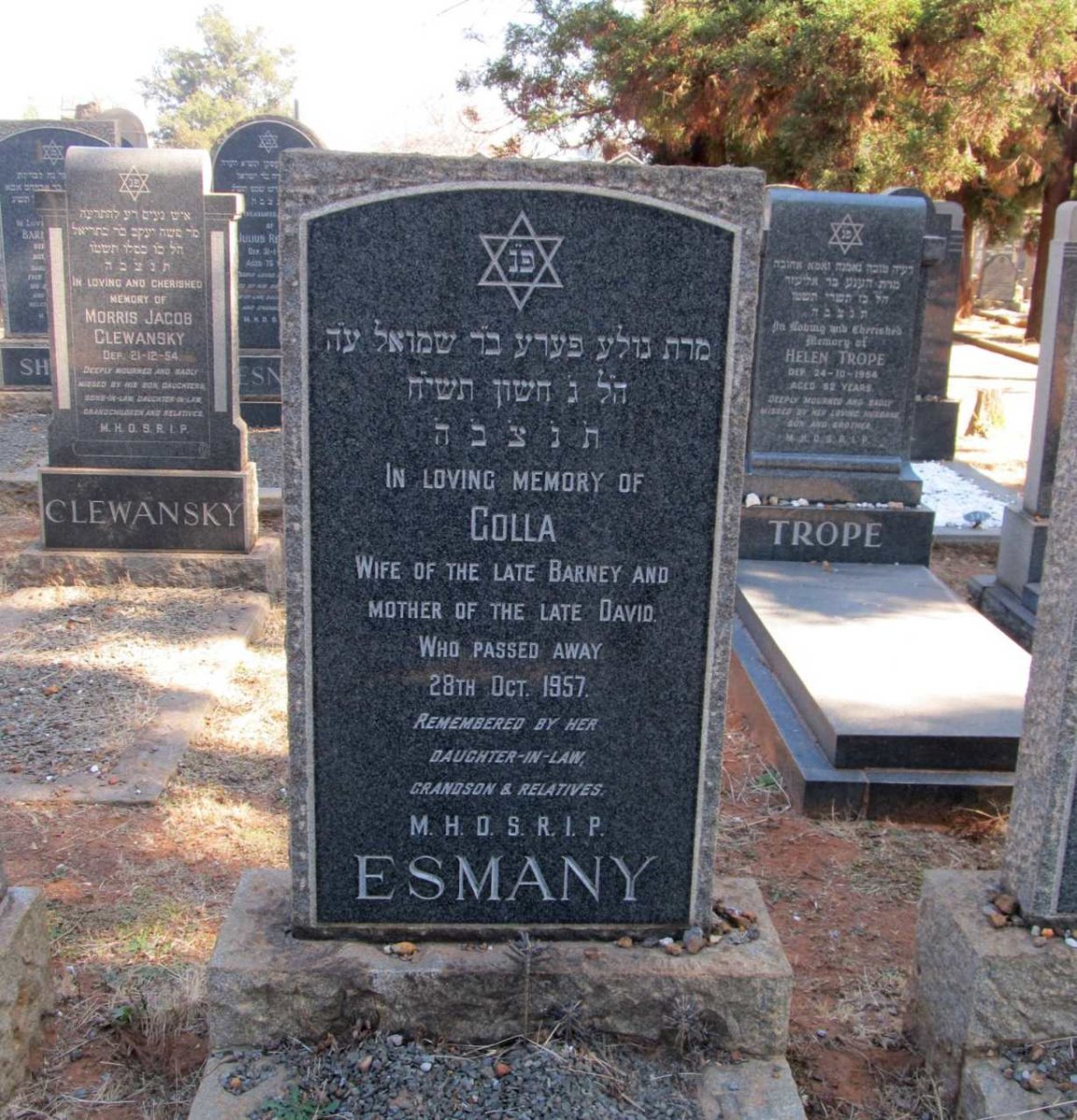 ESMANY Colla -1957