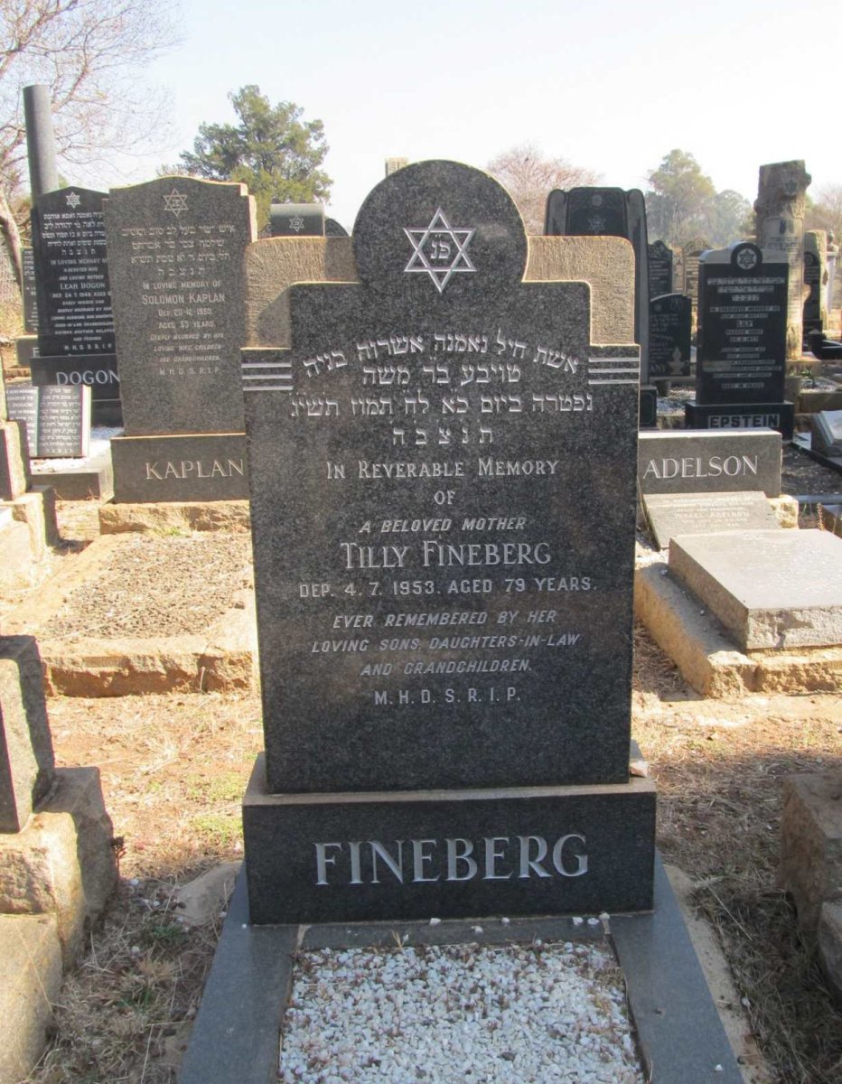 FINEBERG Tilly -1953