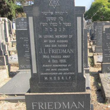 FRIEDMAN J.L. -1956