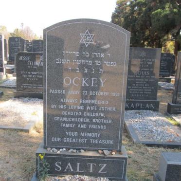SALTZ Ockey -1991