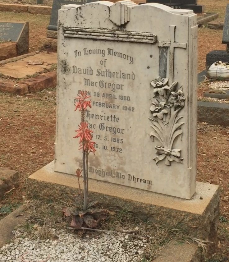 MacGREGOR David Sutherland 1880-1942 &amp; Henriette 1885-1972