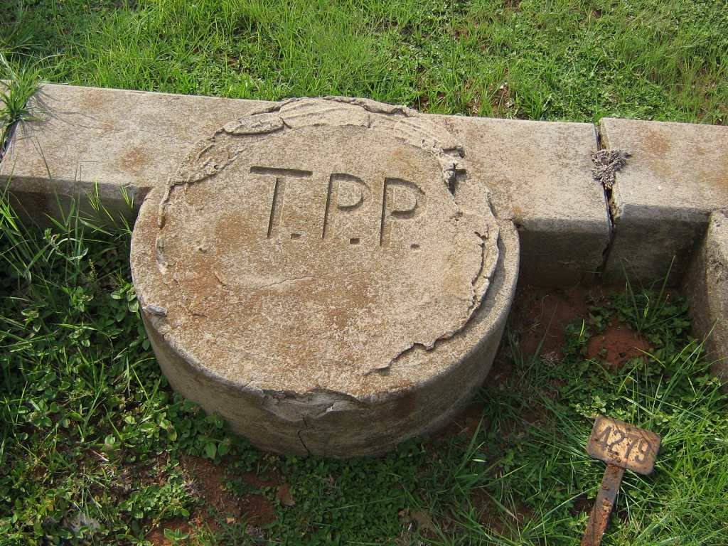 PADDY T.P.P.