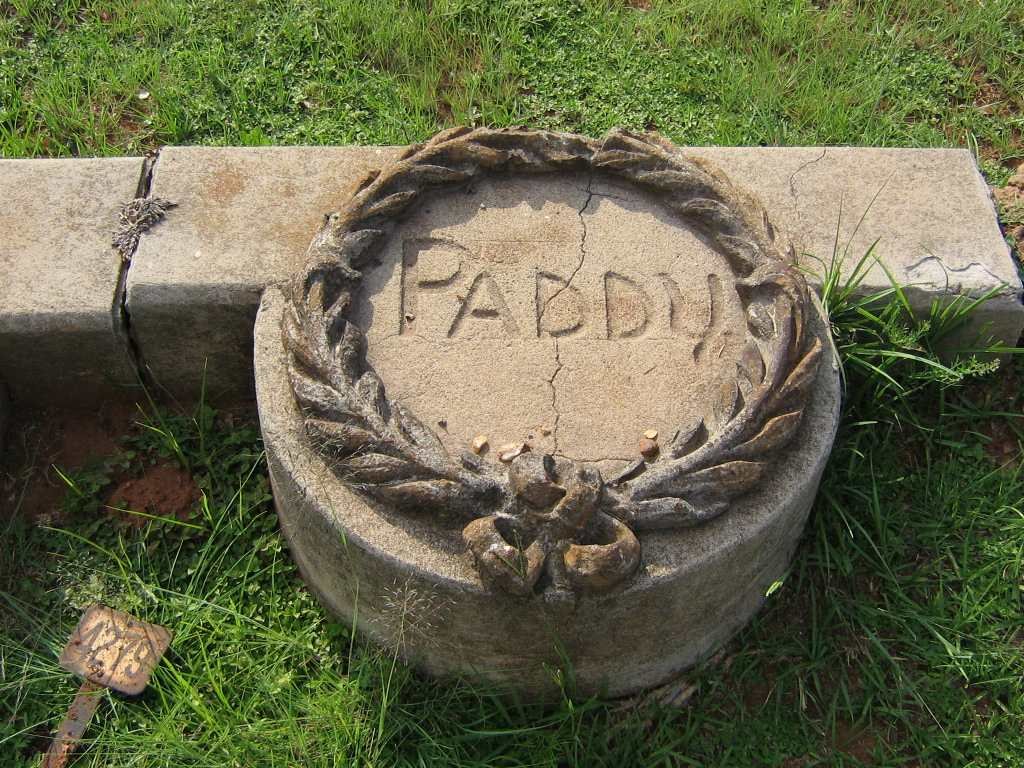 PADDY T.P.P.